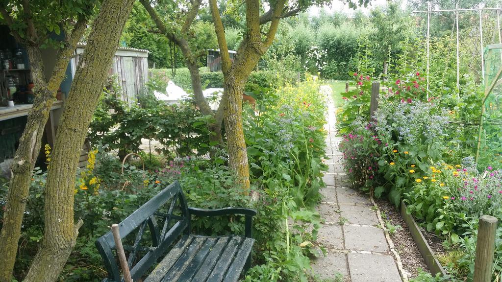 De Kluiskaemer In De Olde Banck Stavoren Eksteriør bilde